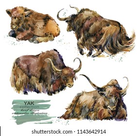 Yak Hand Drawn Watercolor Illustration Set	
