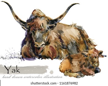 Yak Hand Drawn Watercolor Illustration