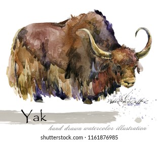 Yak Hand Drawn Watercolor Illustration