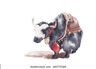 Yak. Watercolor Painting Isolated On White Background. 