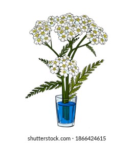 A Yarrow Flower Stands In A Glass Of Blue Water