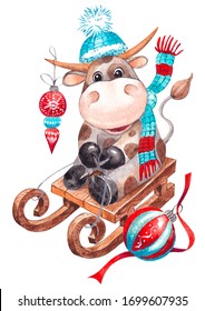 Year Of The Bull. Merry Christmas And New Year Card. Hand Drawn Watercolor Farm Animal Illustration.