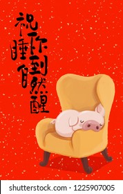 In The Year Of The Pig, I Wish The Pig To Sleep On The Sofa And Sleep Naturally.