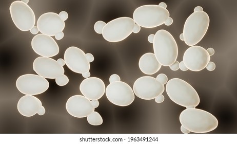 Yeast Cells Close-up 3d Illustration