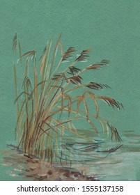 Yellow Autumn Reeds Near Pond6 Watercolor Picture6 Sumi-e