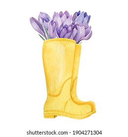 Yellow Boots With Purple Crocuses Watercolor Illustration. Spring Garden Composition Of Boots And Flowers Isolated On White Background.