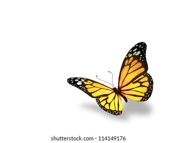 Yellow Butterfly Isolated On White Background Stock Illustration 114149176