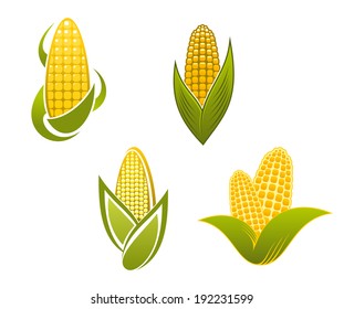 Yellow corn icons and symbols for agriculture logo design. Vector version also available in gallery