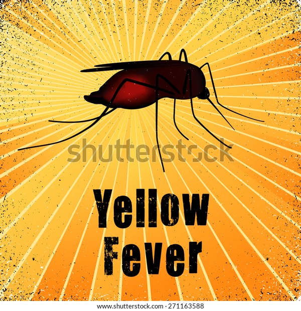 Yellow Fever Blood Filled Mosquito Graphic Stock Illustration