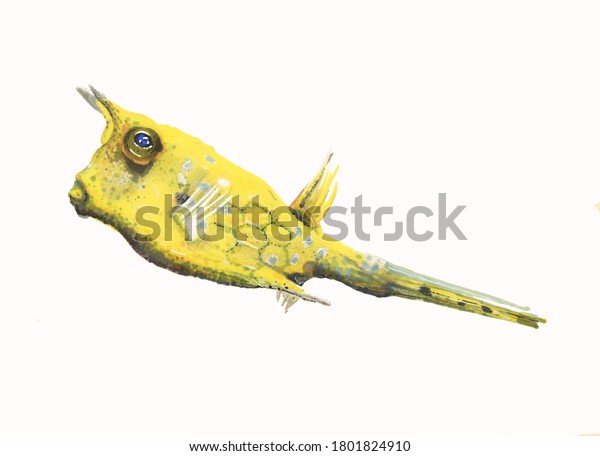 Yellow longhorn cowfish hand drawn\
illustration on a white isolated background. Ocean creature ready\
to be used in aquarium decoration, ecology\
projects.