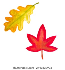 yellow oak leaf and red maple leaf watercolor illustration autumn set background for textile design - Powered by Shutterstock