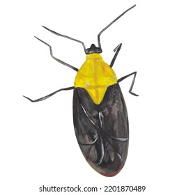 Yellow Plant Bug Gouache Illustration Hand Painted Artwork Isolated On White Background