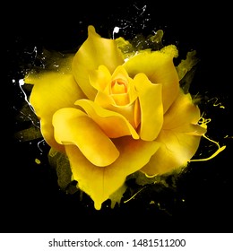 Yellow rose, with splashes and drips of paint. On a black background, close-up. Amazing elegant artistic image of the Queen of flowers