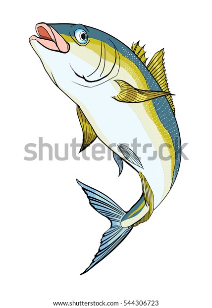 Yellow Tail Stock Illustration 544306723