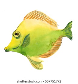 Yellow Fish Cartoon Stock Vector (Royalty Free) 219400402