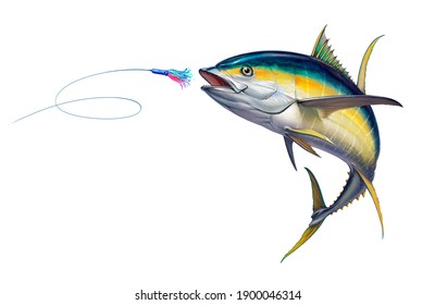 Yellow tuna black fin attacks Bait Sea Swim Squids. Realistic illustration of Yellow tuna white background isolate.
