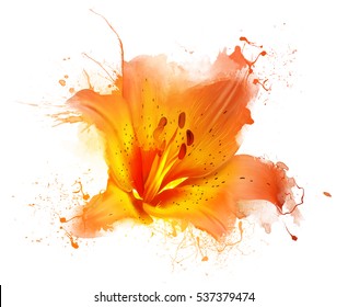 Yellow water Lily, close-up, isolated on white background. Abstract illustration with paint splatter, an explosion of colors