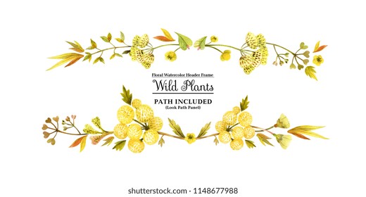 Yellow wild plants for header. Watercolor banner on a white backdrop, isolated, path included