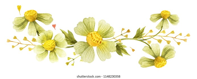 Yellow wild plants vignette for decoration. Watercolor wreath on a white backdrop, isolated, path included