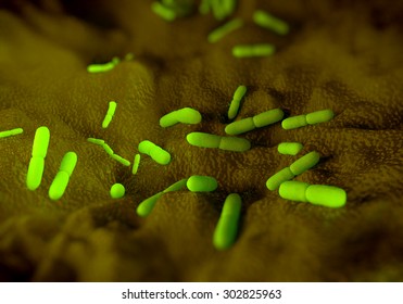 Yersinia Pestis Bacteria, Artwork