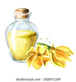 202 Ylang Ylang Essential Oil Watercolor Images, Stock Photos & Vectors ...