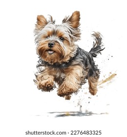 Yorkshire Terrier watercolor dog clipart on the white isolated background.  - Powered by Shutterstock