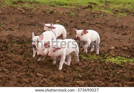 Young Cute Baby Piglets Running Camera Stock Illustration 373690027