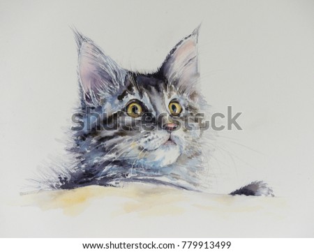 Young Maine Coon portrait. Picture created with watercolors.