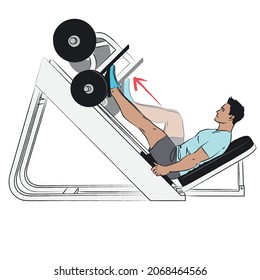 young man doing exercise using gym equipment - leg press - sitting on incline bench pushing weights by using thigh muscles - workout series isolated on white background