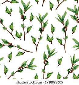 Young spring tree branches watercolor seamless pattern. Template for decorating designs and illustrations. - Shutterstock ID 1918992605