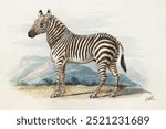 The Zebra (1837), vintage animal illustration by Charles Hamilton Smith. Vintage zebra, animal art drawing illustration, old painting zebra, animal art print.