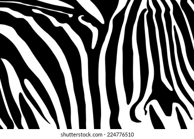 Fashion Legs Heel Party Zebra Print Stock Photo (Edit Now) 1886674756