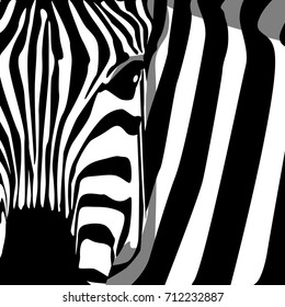 Zebra Pattern African Background Cover Design Stock Vector (Royalty ...