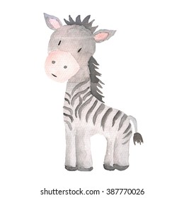 Zebra Animal Watercolor Illustration