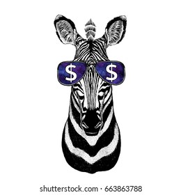 Zebra Horse Wearing Glasses With Dollar Sign