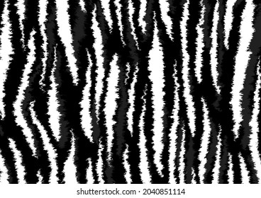 Zebra Print Useful As A Background Or Pattern. Wild Animal Texture. Real Zebra Hide.