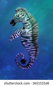 Zebra Seahorse