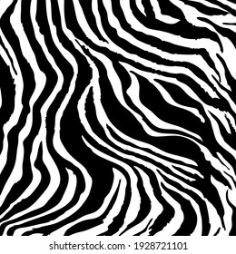 Zebra skin safari backdrop. Animal print