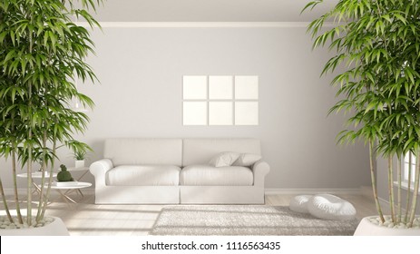 Zen interior with potted bamboo plant, natural interior design concept, minimalist room, simple white living with big window, scandinavian classic architecture, 3d illustration