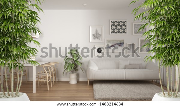 Zen Interior Potted Bamboo Plant Natural Stock Illustration