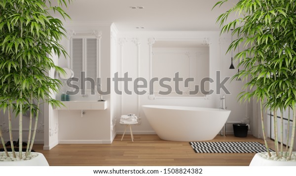 Zen Interior Potted Bamboo Plant Natural Stock Illustration