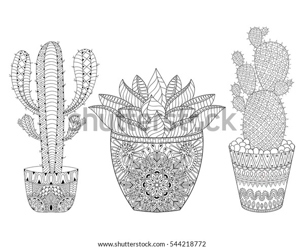 Zentangle Cactus Set Illustration Hand Drawn のイラスト素材