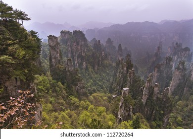 Zhangjiajie National Forest Park, Part Of The Wulingyuan Scenic Area, UNESCO World Heritage Site, Global Geopark. One Of The Pillars Had Been Renamed Avatar Hallelujah Mountain In Honor Of The Film.