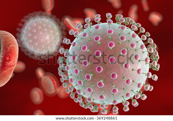 Zika\
virus in blood with red blood cells, a virus which causes Zika\
fever found in Brazil and other tropical\
countries