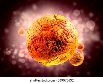 Zika Virus Structure