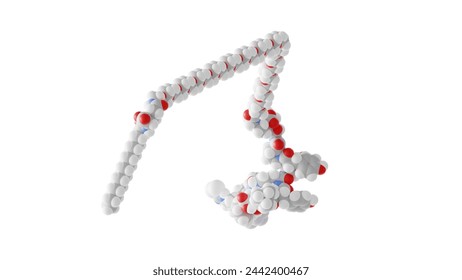 zilucoplan molecule, complement inhibitor, molecular structure, isolated 3d model van der Waals