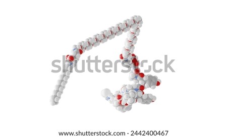 zilucoplan molecule, complement inhibitor, molecular structure, isolated 3d model van der Waals