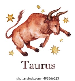 Zodiac Sign - Taurus.
Watercolor Illustration.