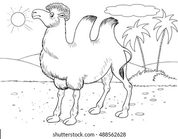   Desert Animal Coloring Pages  Best Free