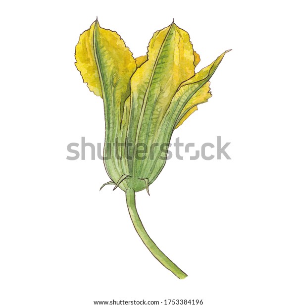 My Image 25
